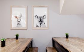Mad Monkey Broadway (Adults Only)